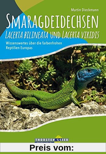Smaragdeidechsen Lacerta bilineata und Lacerta viridis: Wissenswertes über die farbenfrohen Reptilien Europas